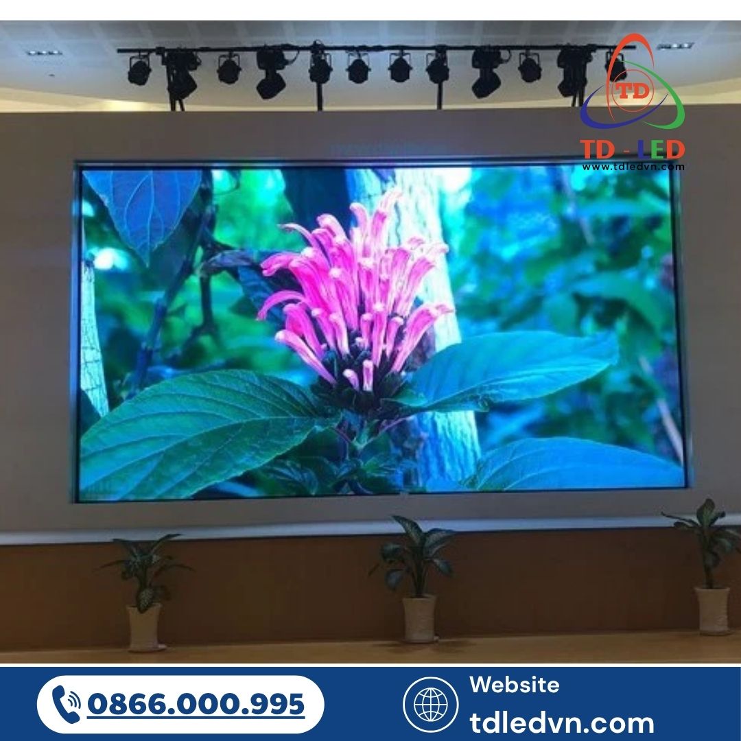 Màn hình LED giá rẻ nhưng vẫn đảm bảo chất lượng luôn là mối quan tâm hàng đầu của các doanh nghiệp tổ chức sự kiện, trung tâm hội nghị, cửa hàng bán lẻ, hay đơn giản là các cá nhân muốn đầu tư hiệu quả.